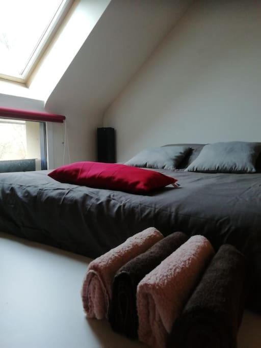 Maison familiale sur la CÔTE D’ÉMERAUDE Lancieux Extérieur photo